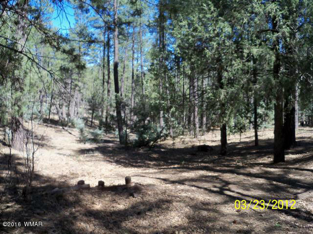 4545 Hidden Way Show Low, AZ 85901 - Photo 25 of 27