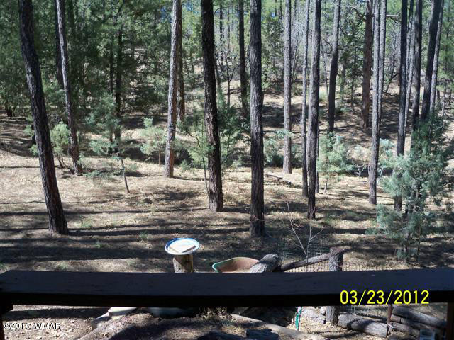 4545 Hidden Way Show Low, AZ 85901 - Photo 26 of 27
