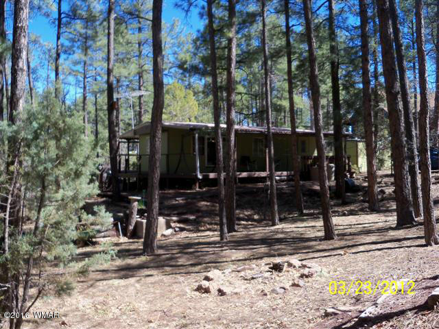 4545 Hidden Way Show Low, AZ 85901 - Photo 10 of 27