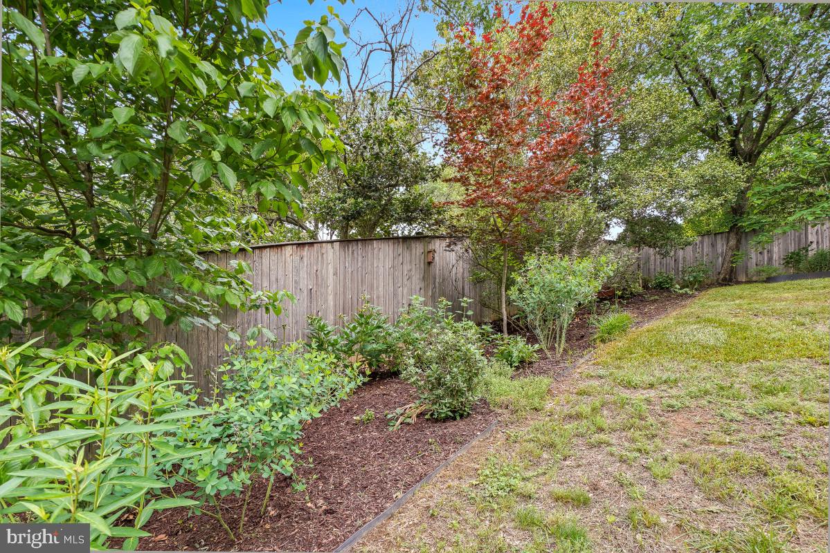 827 Caddington Avenue Silver Spring, MD 20901 - Photo 45 of 45 a view of backyard with green space