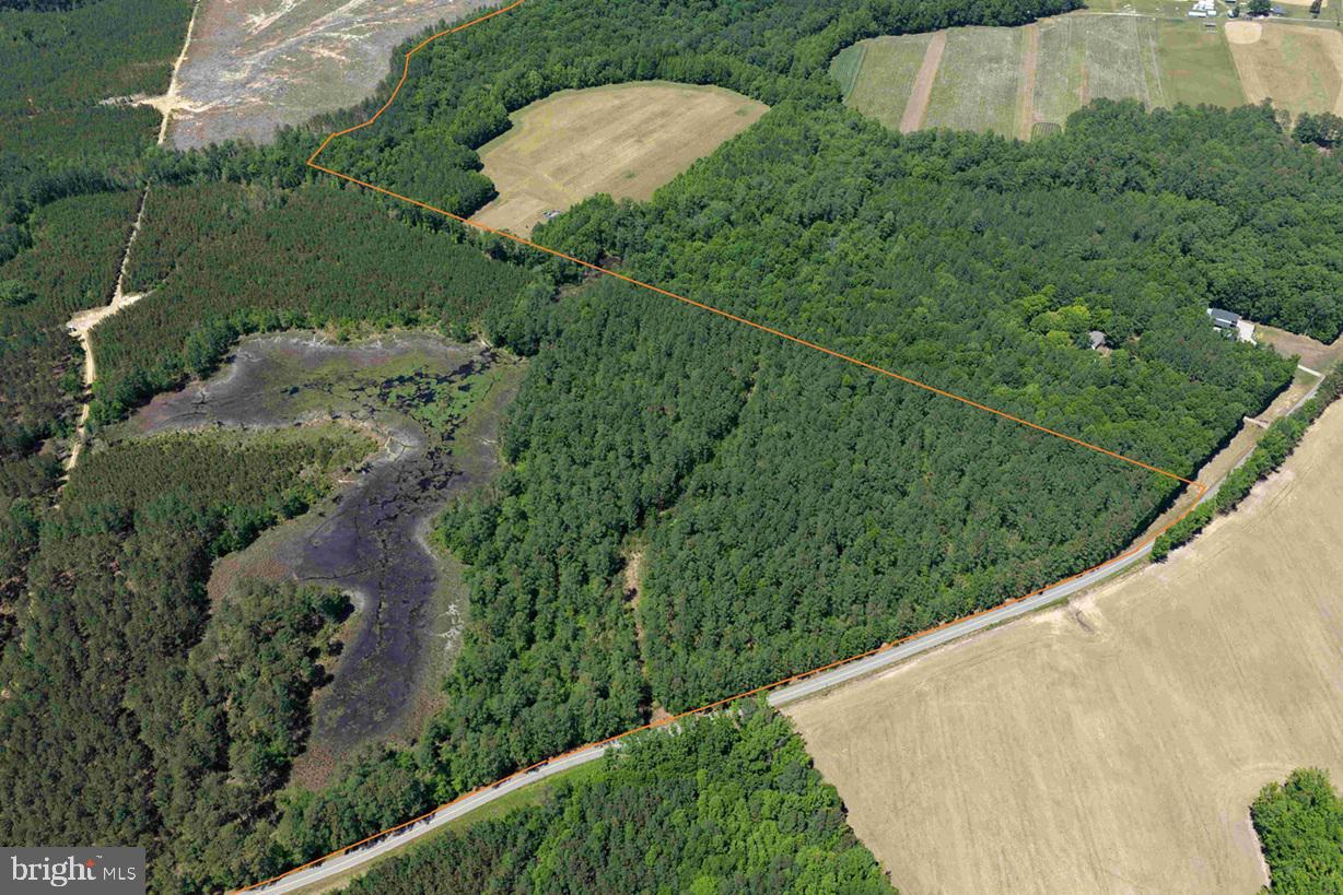 Laurel Springs Road Spring Grove, VA 23881 - Photo 8 of 20