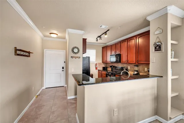 a view of a swimming pool with a garden and plants