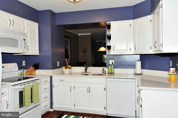4745 Columbia Road Ellicott City, MD 21042 - Photo 11 of 24 Silestone counters