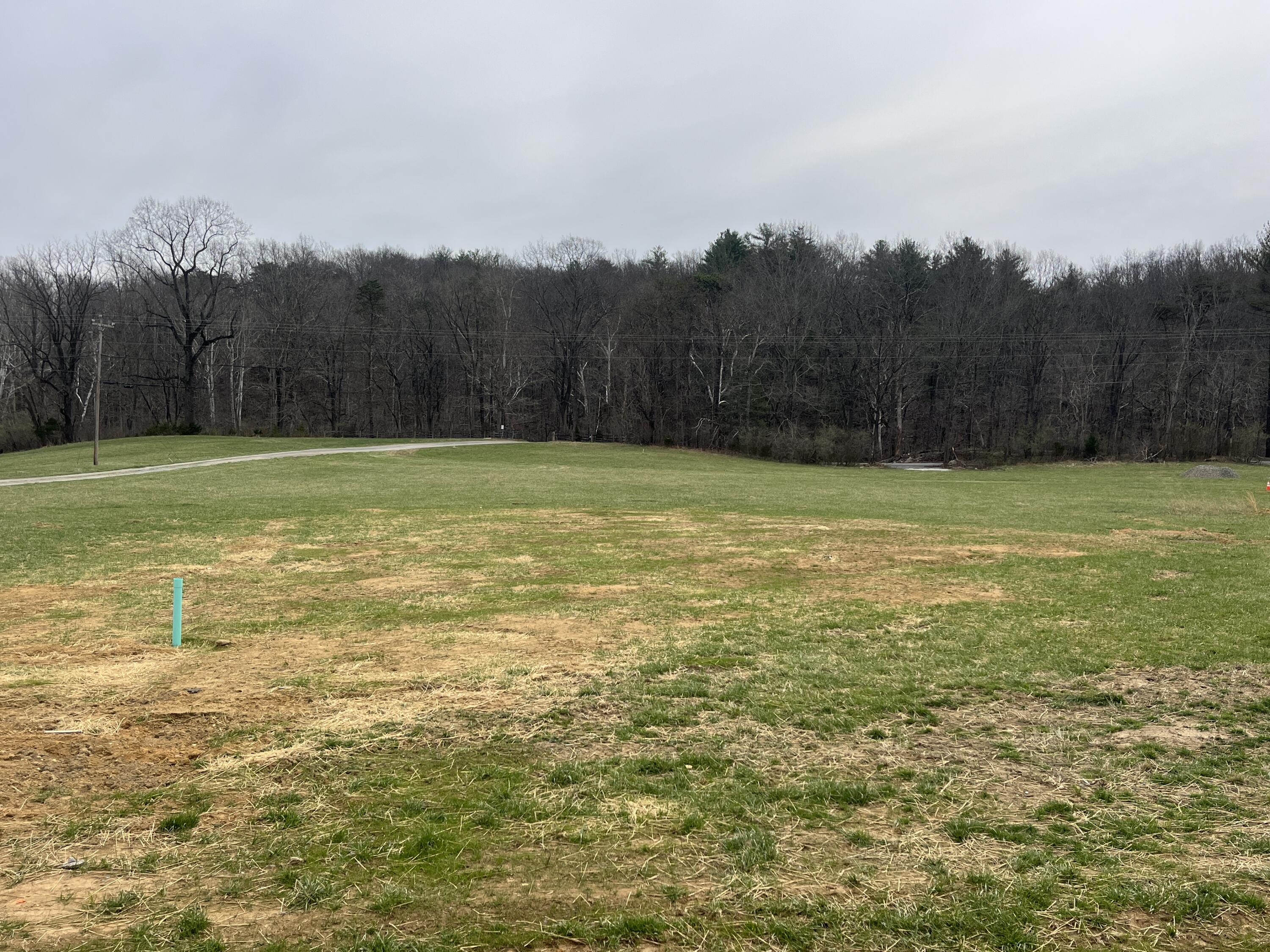 3086 Haymakertown Road Troutville, VA 24175 - Photo 18 of 19 View from side of home
