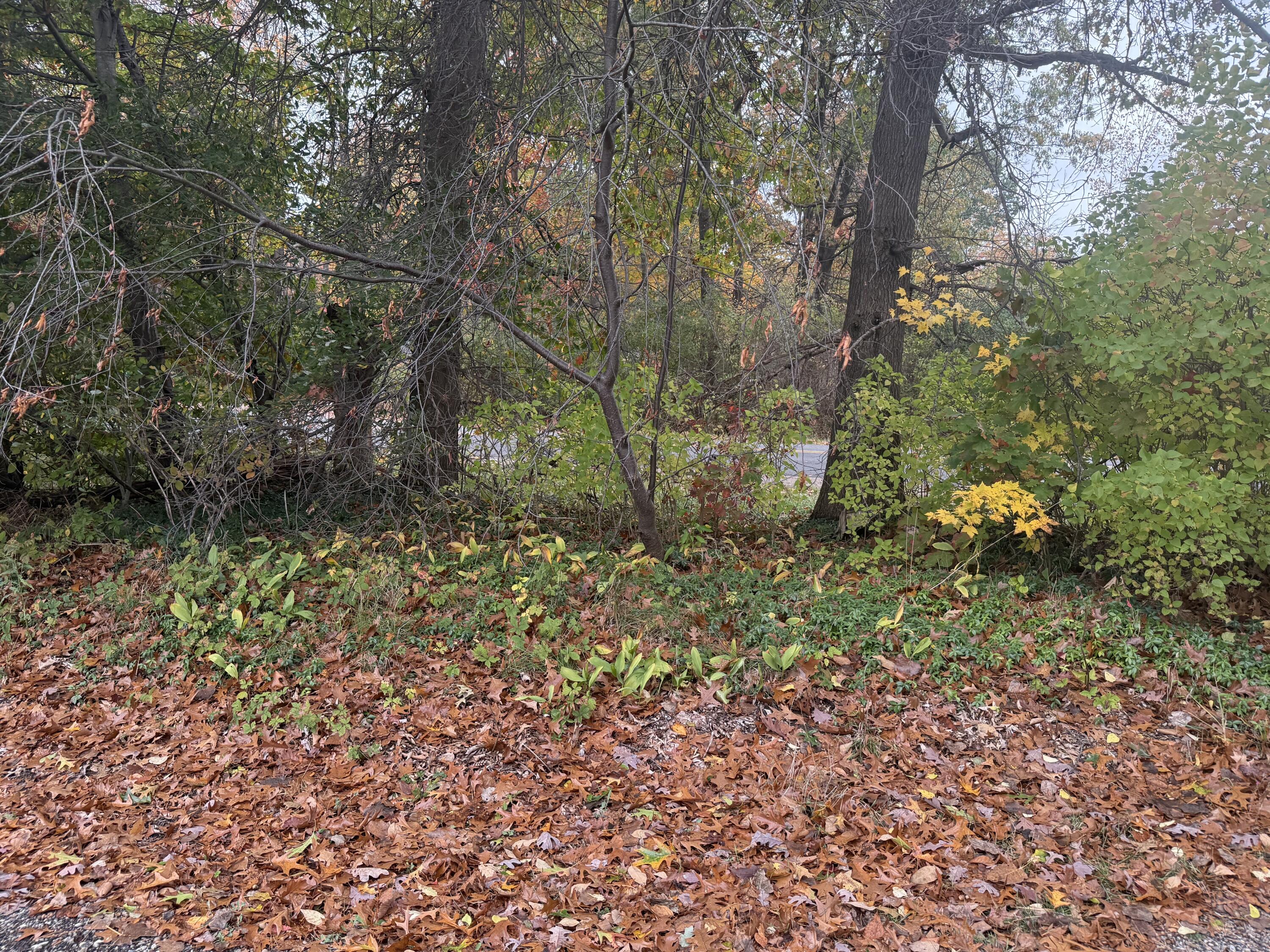 7372 Mergener Road Fruitport, MI 49415 - Photo 23 of 32 IMG_0645