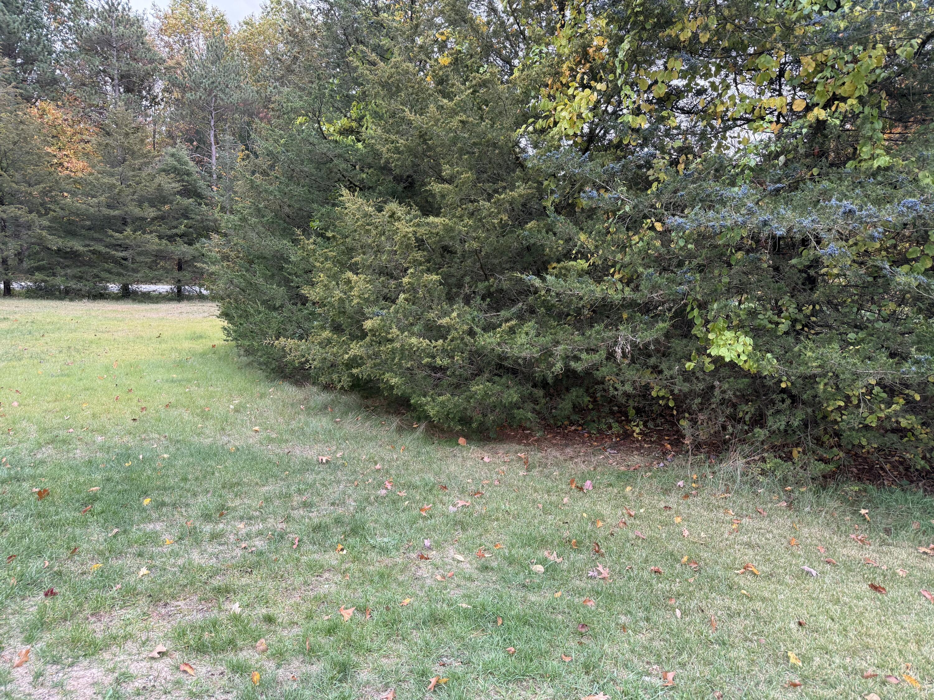 7372 Mergener Road Fruitport, MI 49415 - Photo 31 of 32 IMG_0620