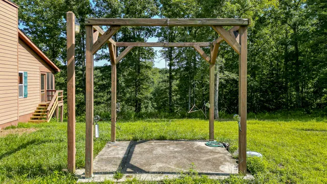 a view of a yard with plants and large trees