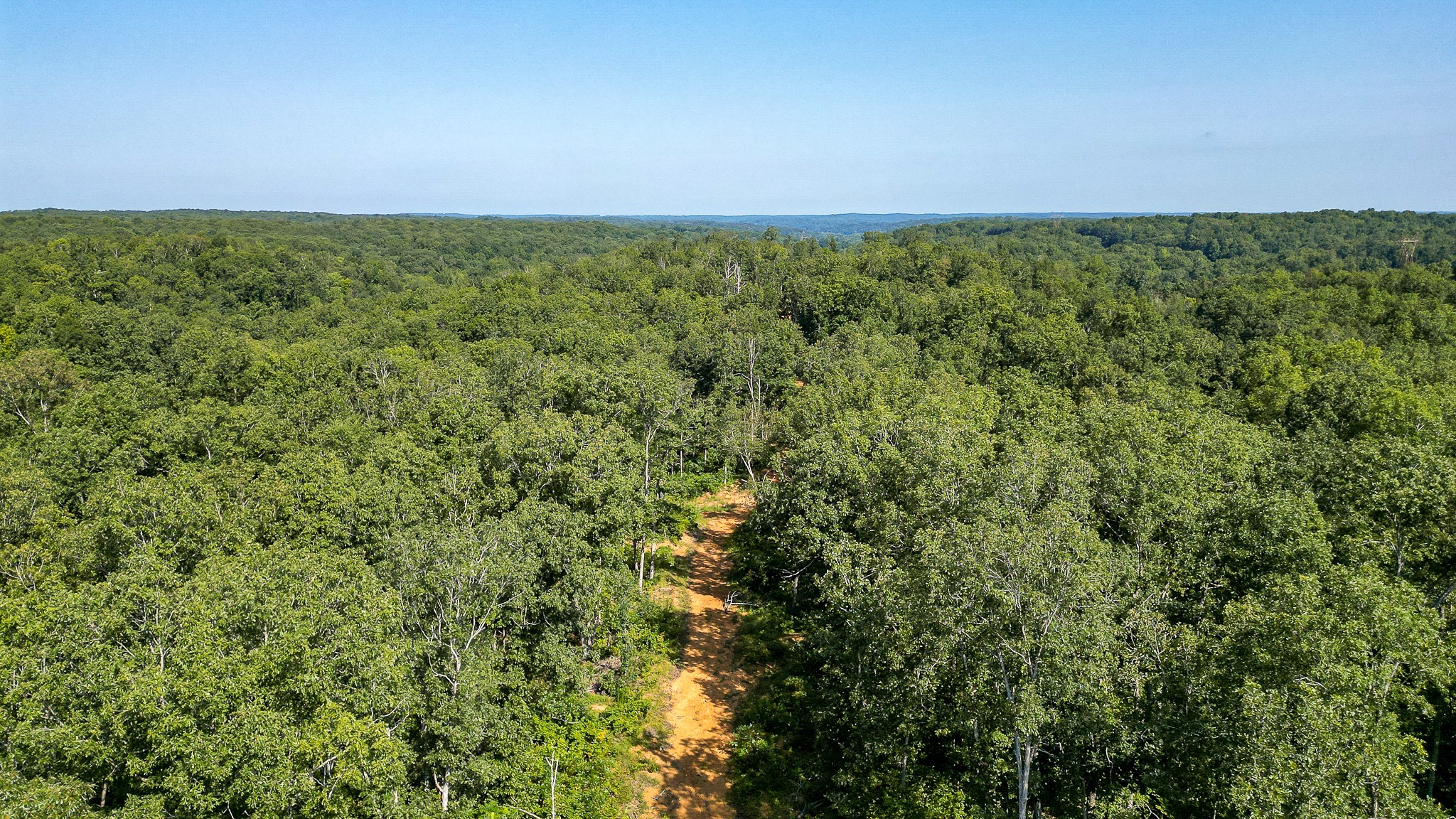 0 Highway 230 McEwen, TN 37101 - Photo 13 of 48