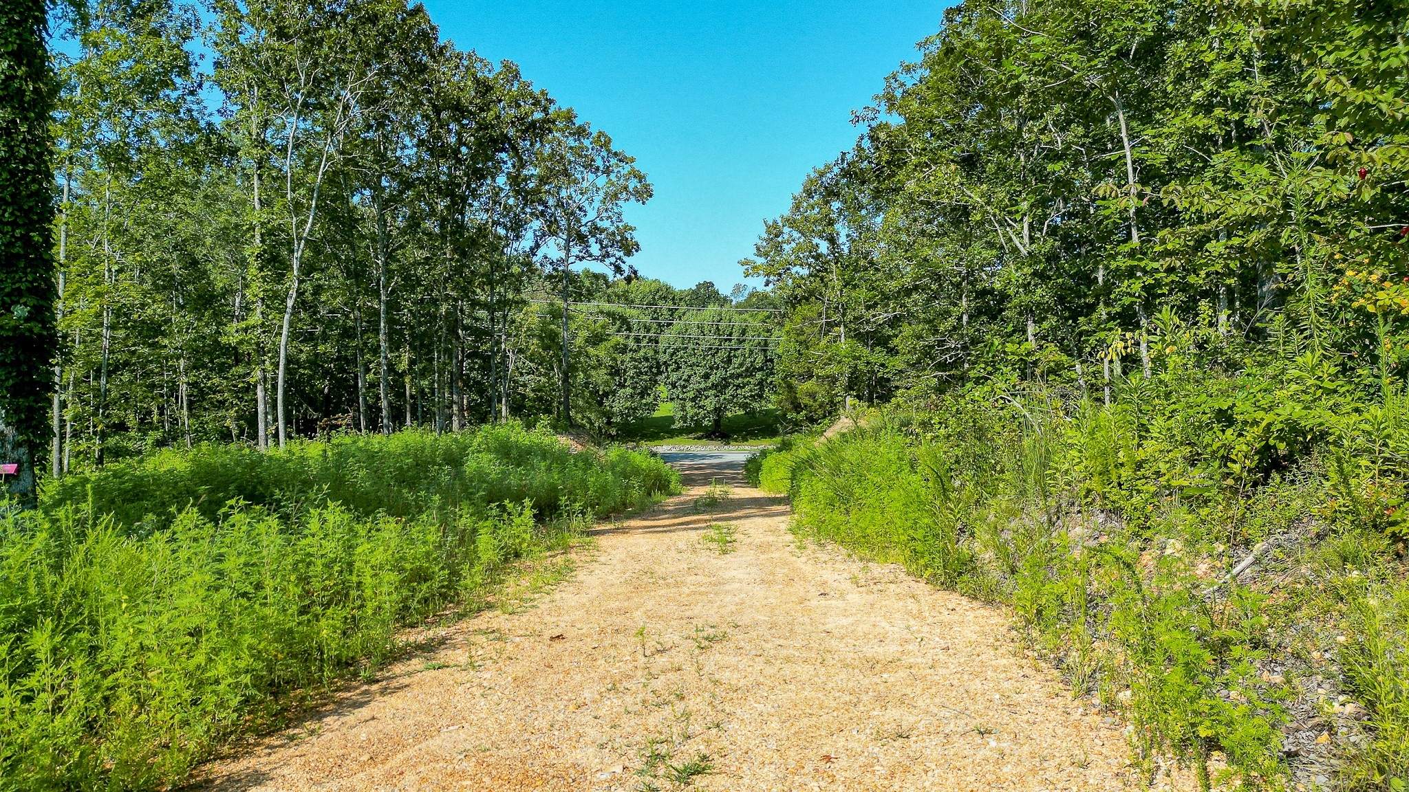 0 Highway 230 McEwen, TN 37101 - Photo 14 of 48