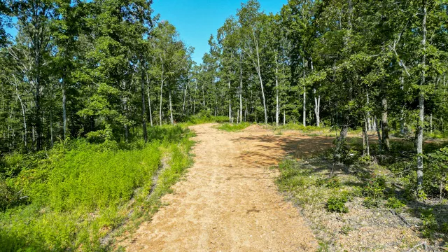 a view of outdoor space and yard