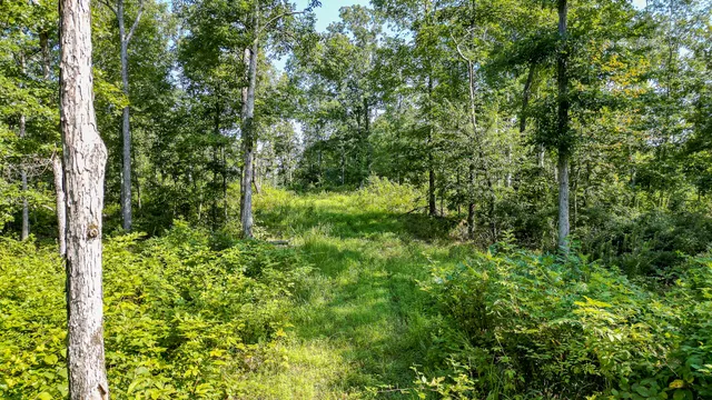 $7,541,250 | 0 Highway 230, McEwen, TN 37101