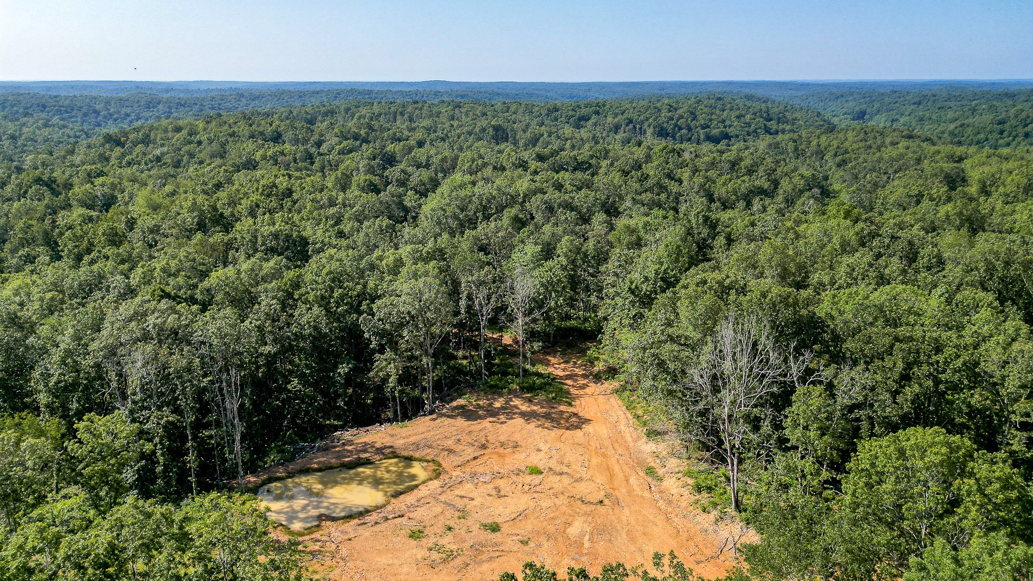 0 Highway 230 McEwen, TN 37101 - Photo 19 of 48 a view of a yard with trees