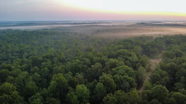 a view of an ocean and beach