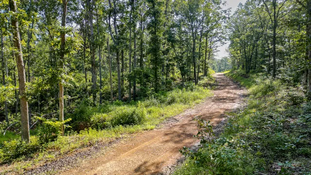 $7,541,250 | 0 Highway 230, McEwen, TN 37101