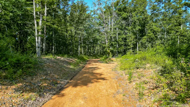 $7,541,250 | 0 Highway 230, McEwen, TN 37101