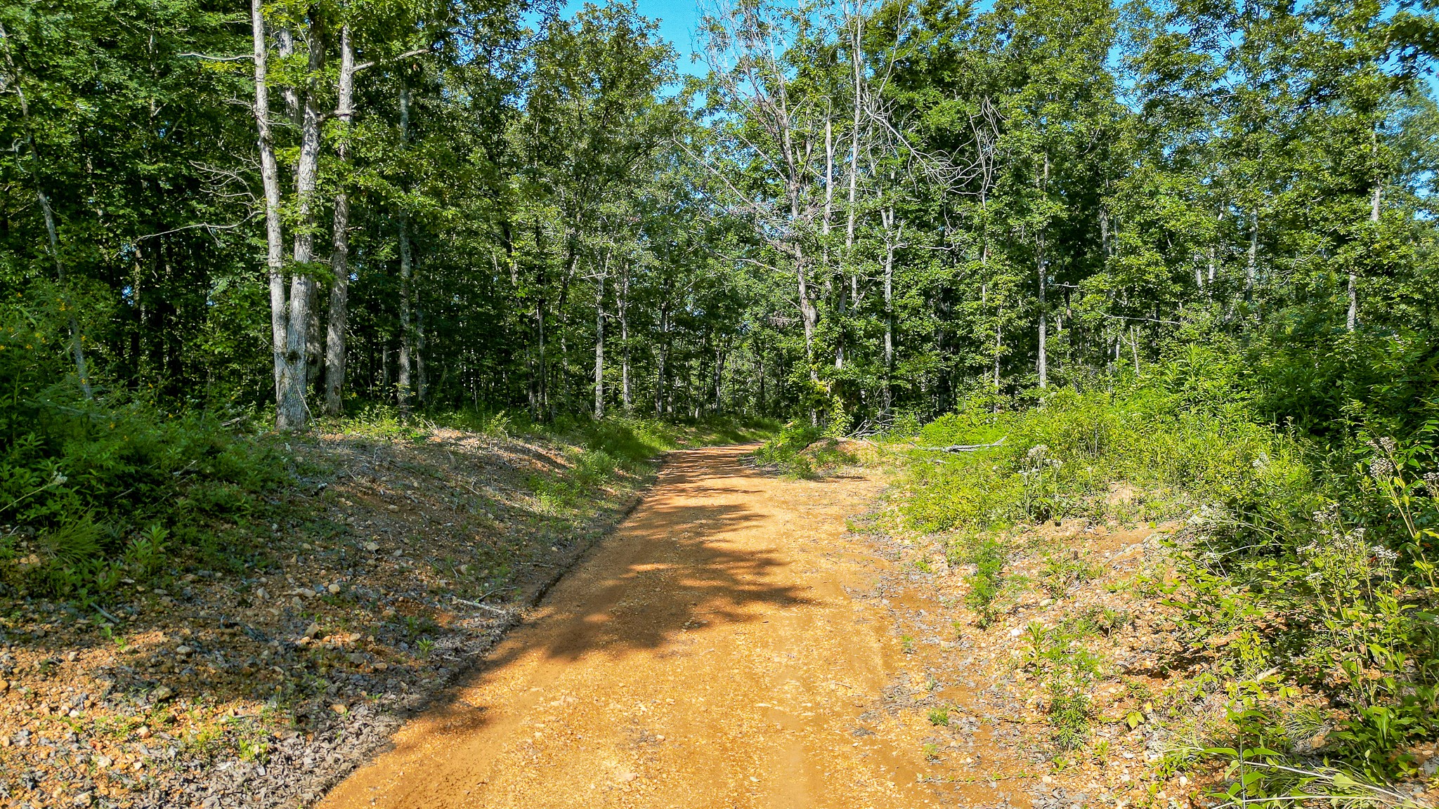 0 Highway 230 McEwen, TN 37101 - Photo 22 of 48