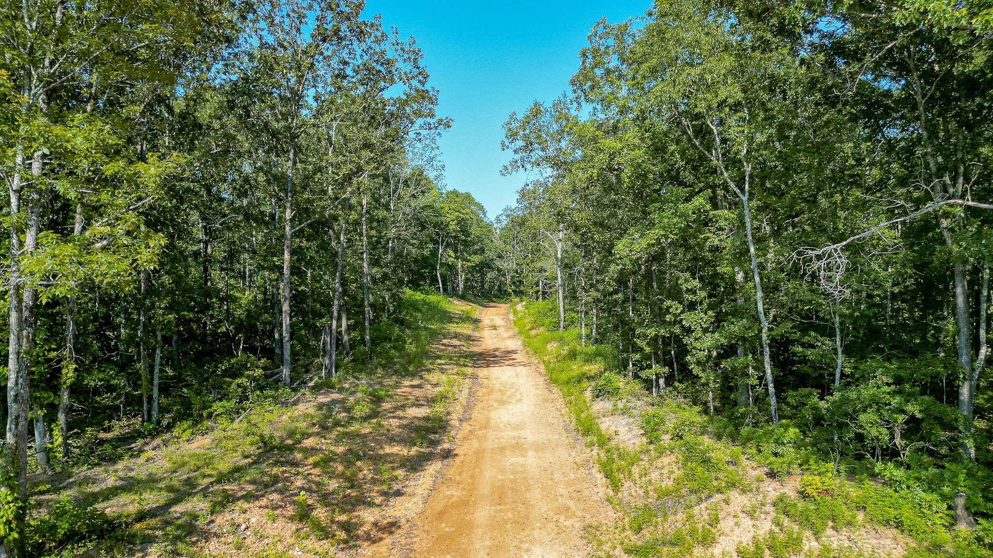 0 Highway 230 McEwen, TN 37101 - Photo 25 of 48