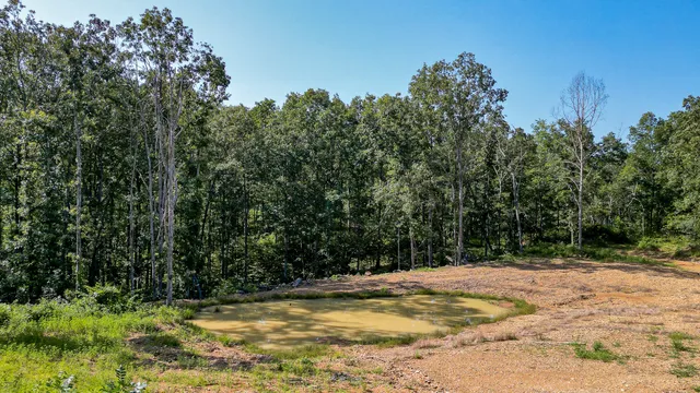 $7,541,250 | 0 Highway 230, McEwen, TN 37101