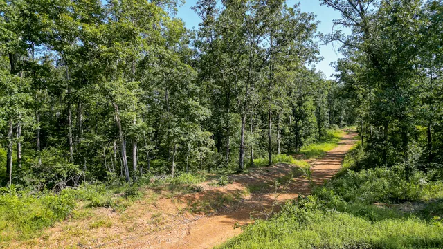 $7,541,250 | 0 Highway 230, McEwen, TN 37101