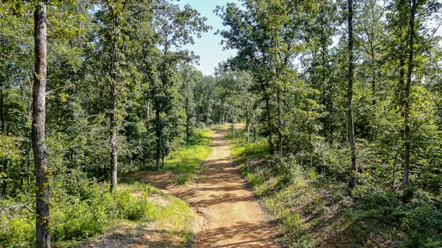 $7,541,250 | 0 Highway 230, McEwen, TN 37101