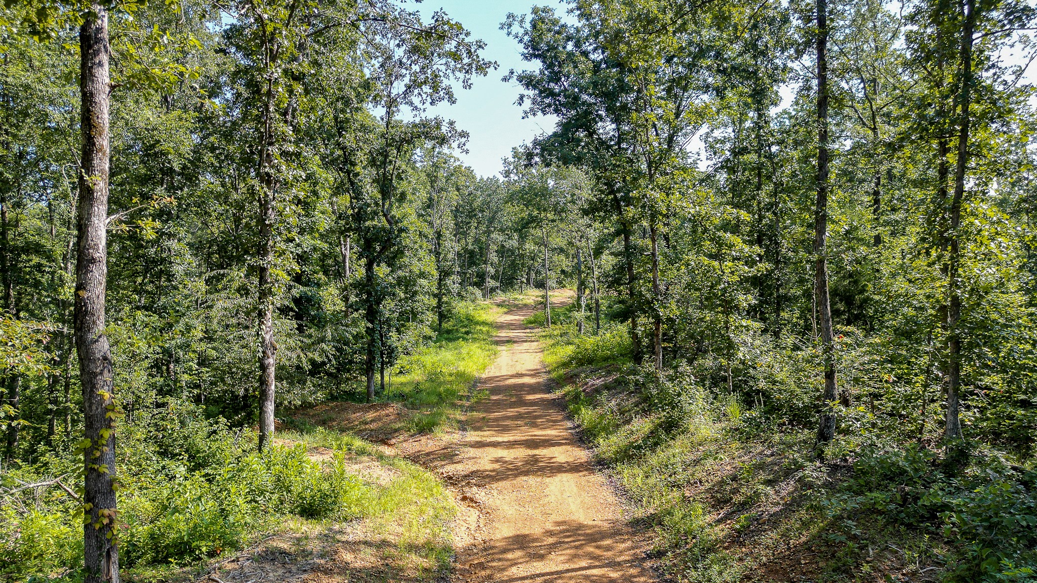 0 Highway 230 McEwen, TN 37101 - Photo 28 of 48 a backyard of a house with lots of green space and fountain