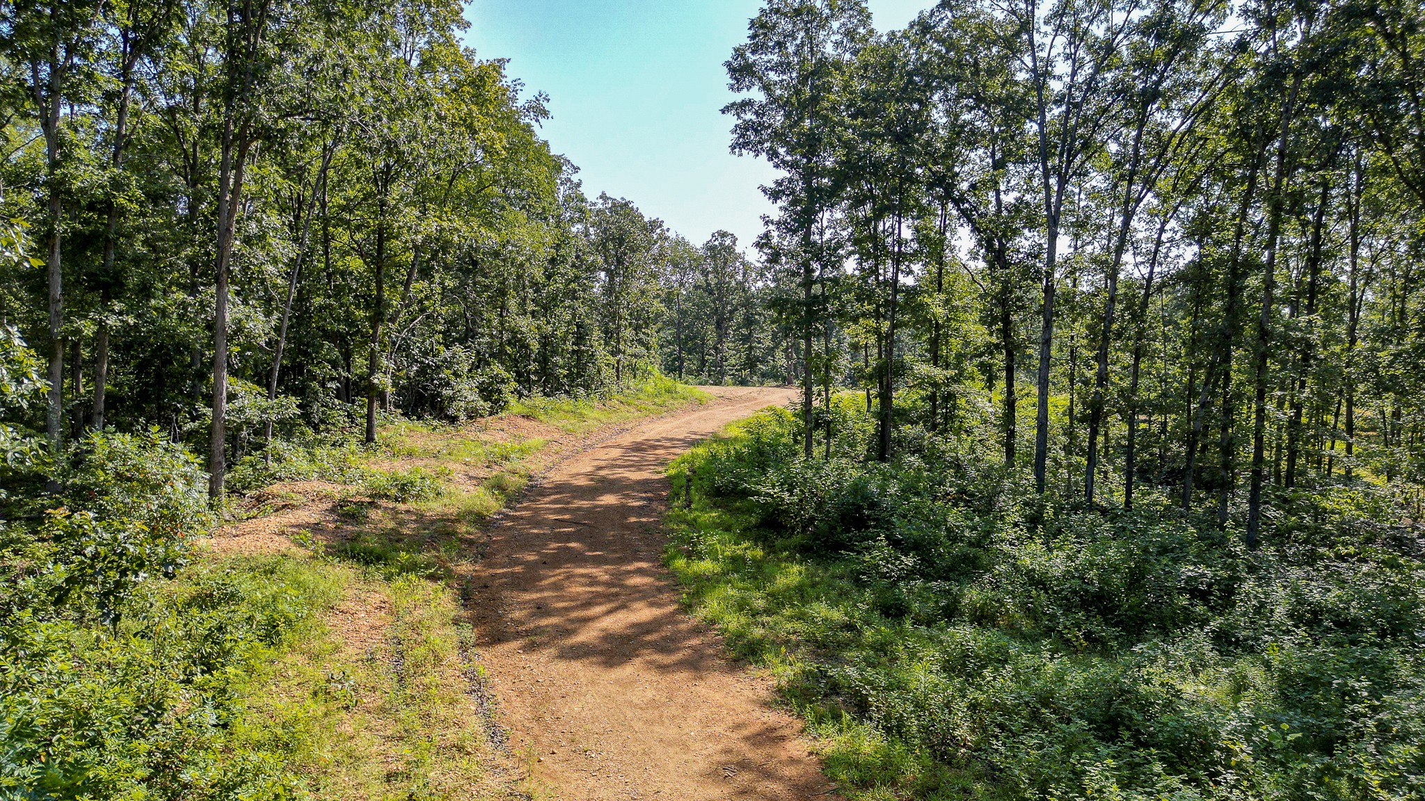 0 Highway 230 McEwen, TN 37101 - Photo 29 of 48 a view of a yard with plants and trees