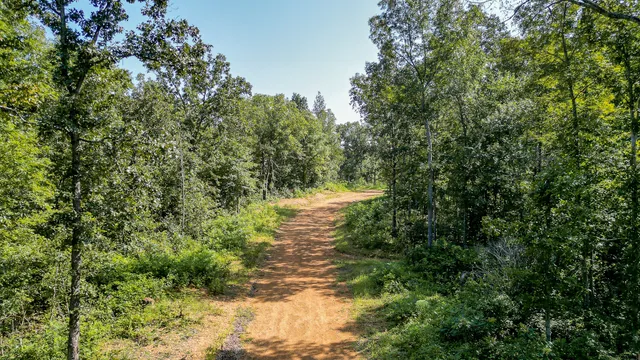 $7,541,250 | 0 Highway 230, McEwen, TN 37101