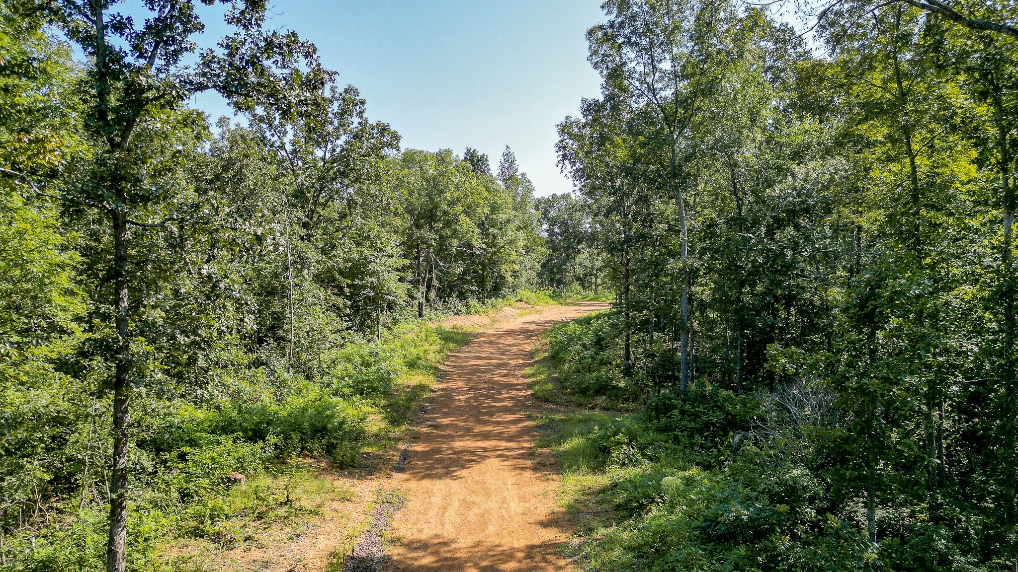 0 Highway 230 McEwen, TN 37101 - Photo 30 of 48