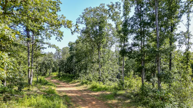 $7,541,250 | 0 Highway 230, McEwen, TN 37101