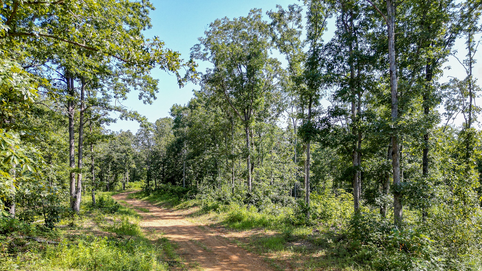 0 Highway 230 McEwen, TN 37101 - Photo 31 of 48