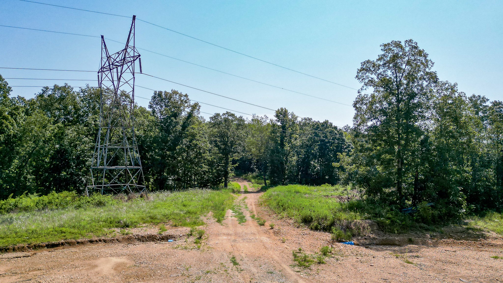 0 Highway 230 McEwen, TN 37101 - Photo 32 of 48 a view of a yard with plants and a fountain