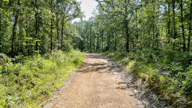 $7,541,250 | 0 Highway 230, McEwen, TN 37101