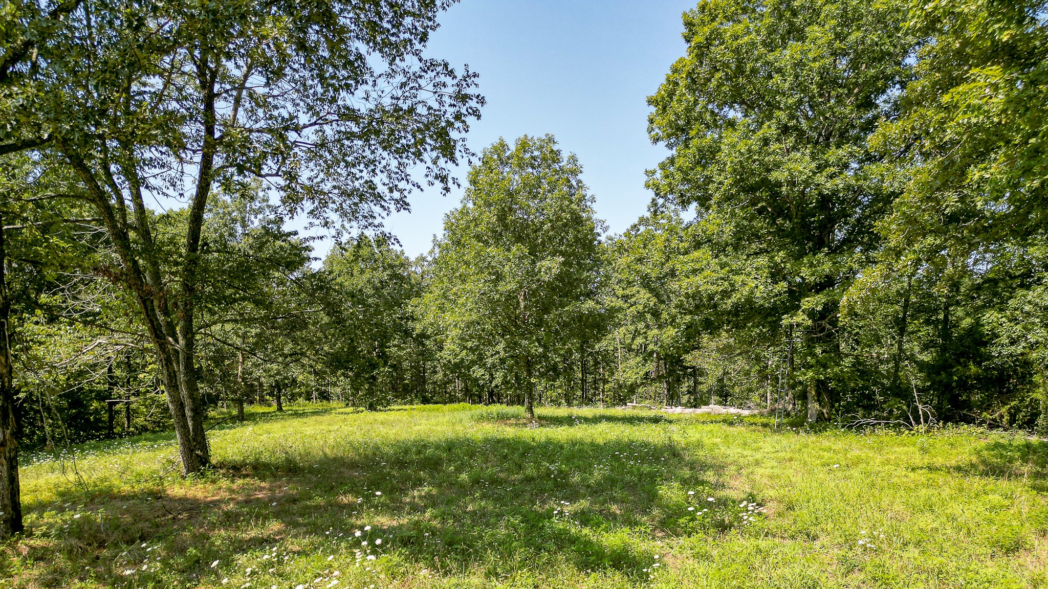 0 Highway 230 McEwen, TN 37101 - Photo 43 of 48