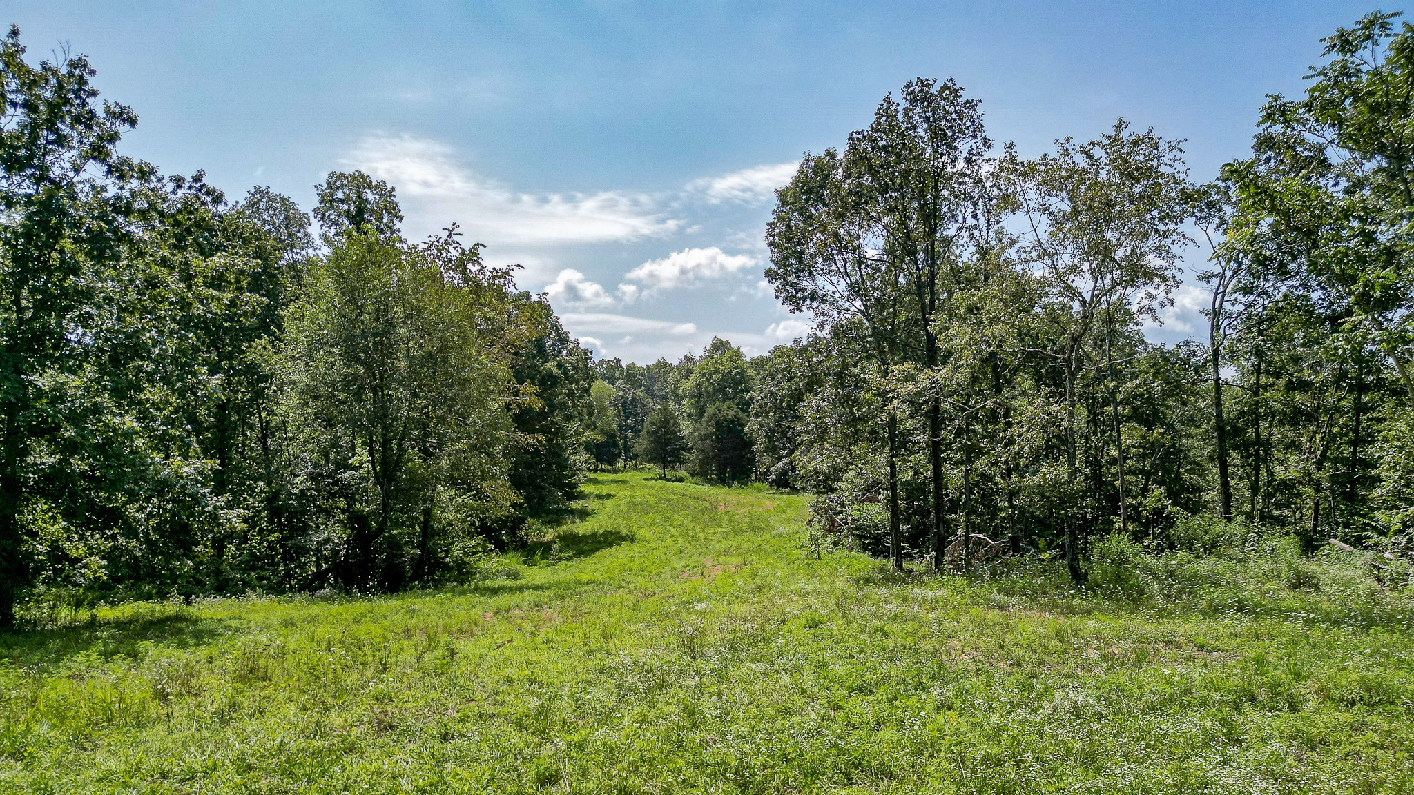 0 Highway 230 McEwen, TN 37101 - Photo 44 of 48