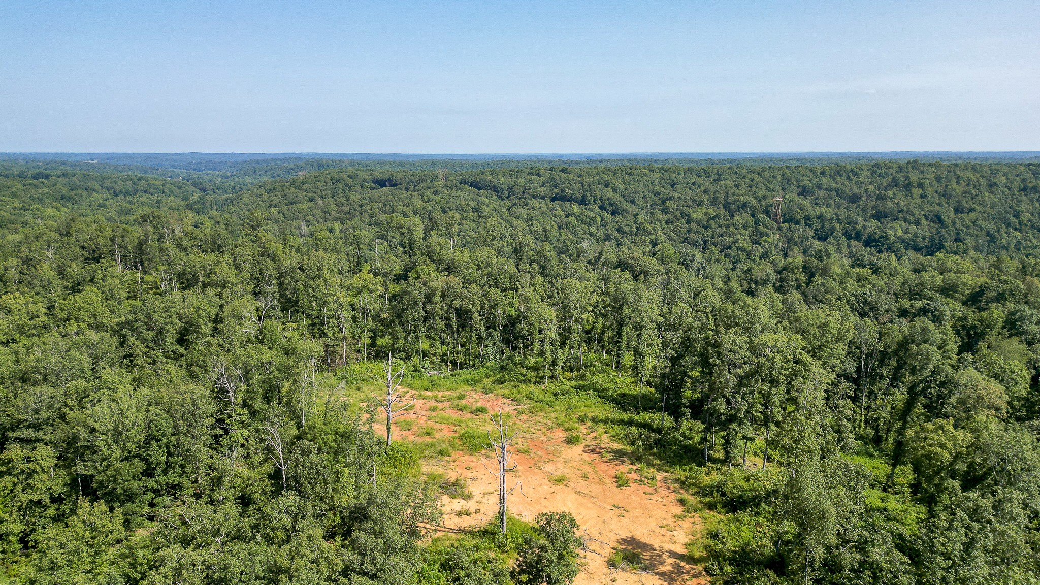0 Highway 230 McEwen, TN 37101 - Photo 48 of 48 a view of yard with green space