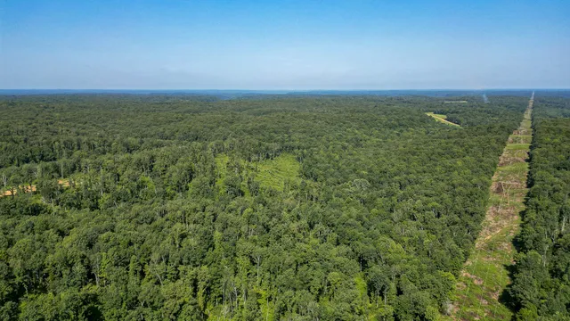 a view of outdoor space and trees all around