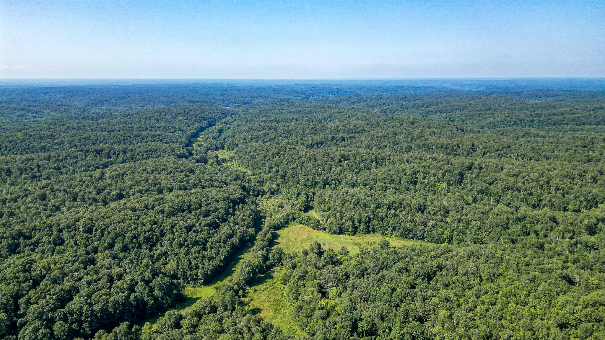 0 Highway 230 McEwen, TN 37101 - Photo 6 of 48