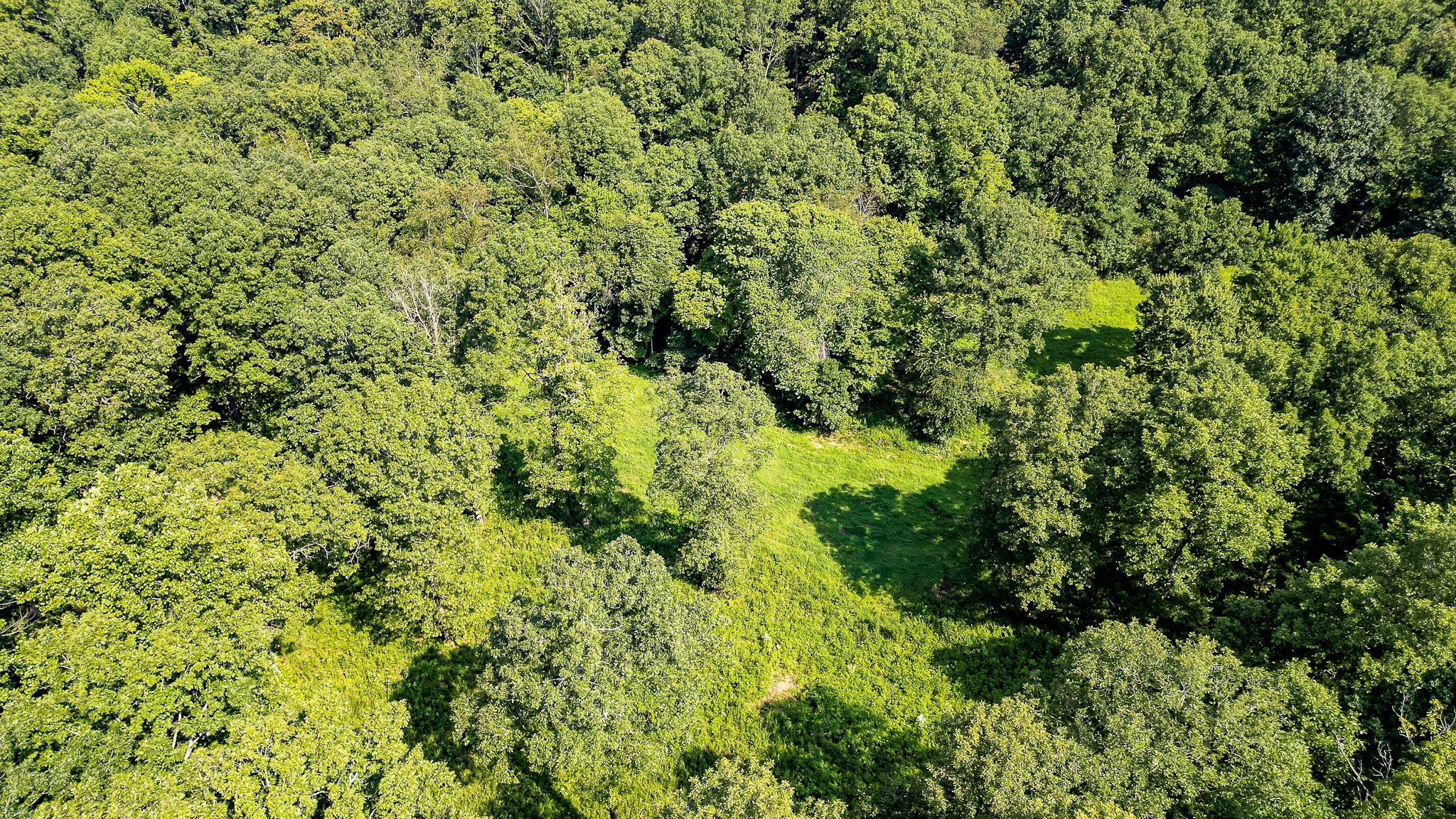 0 Highway 230 McEwen, TN 37101 - Photo 7 of 48