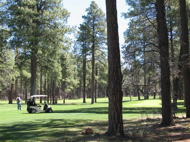 3184 Red Robin Road Pinetop, AZ 85935 - Photo 3 of 6 Additional Photo