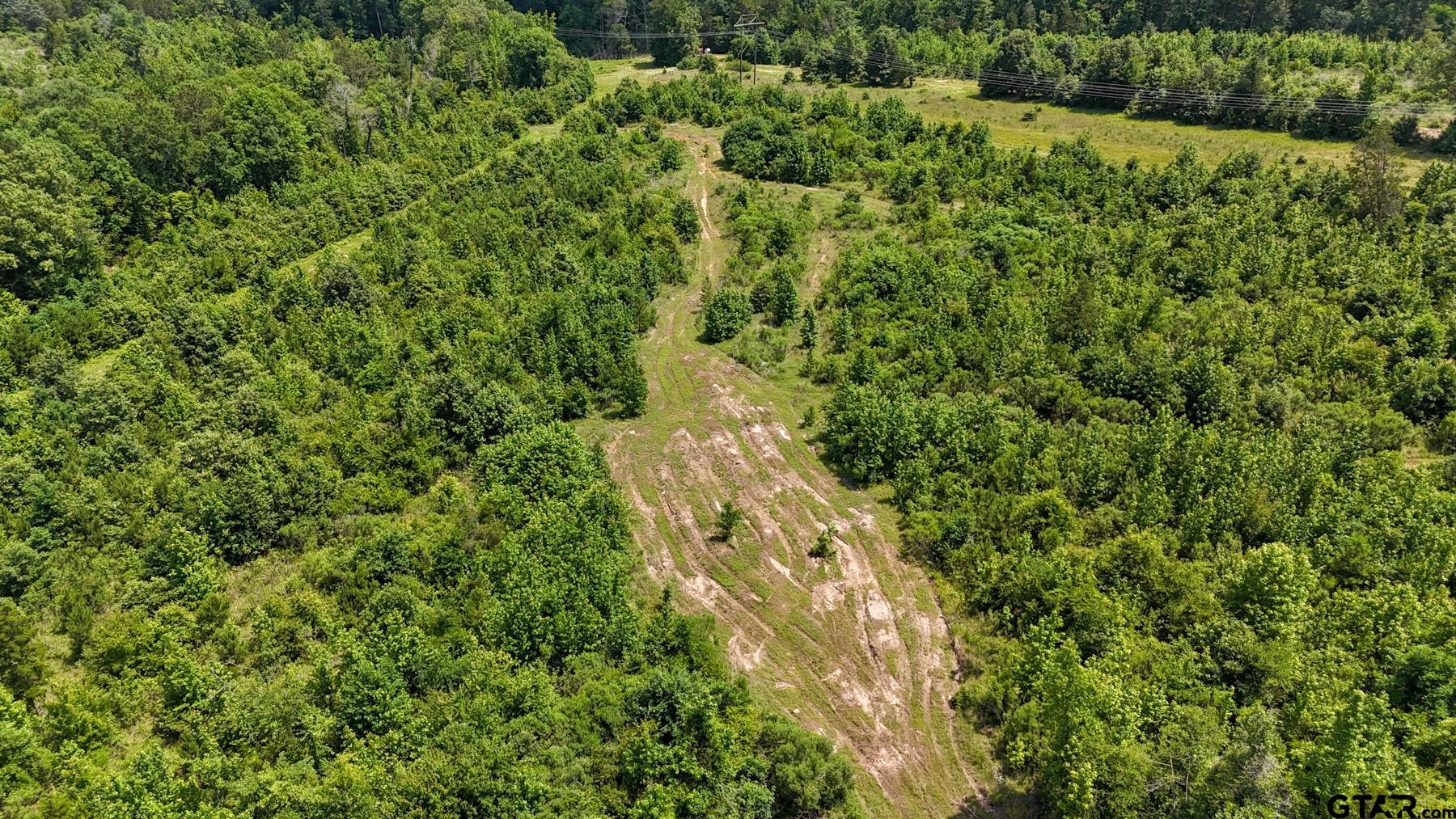 0 Avinger Cut Off Road Avinger, TX 75630 - Photo 25 of 48