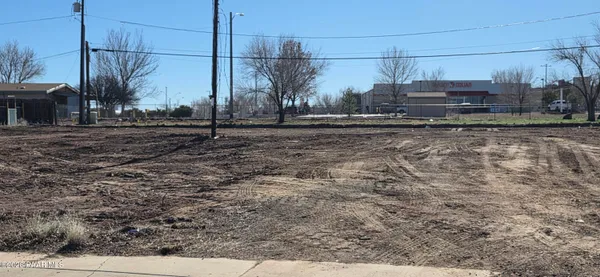 a view of a back yard of the house