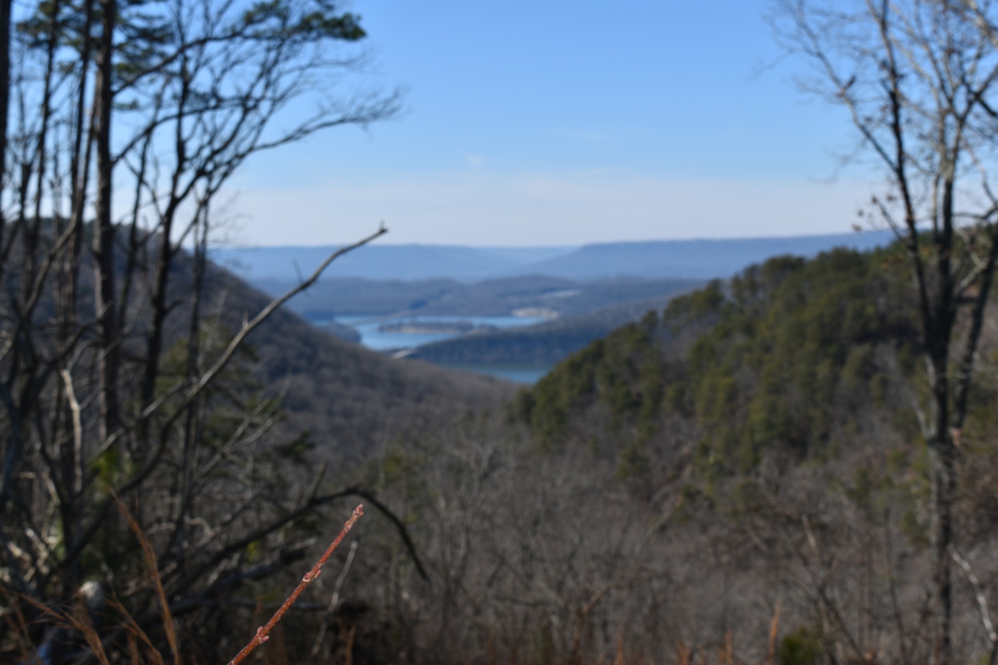 0 Birds Eye Way Guild, TN 37340 - Photo 1 of 51
