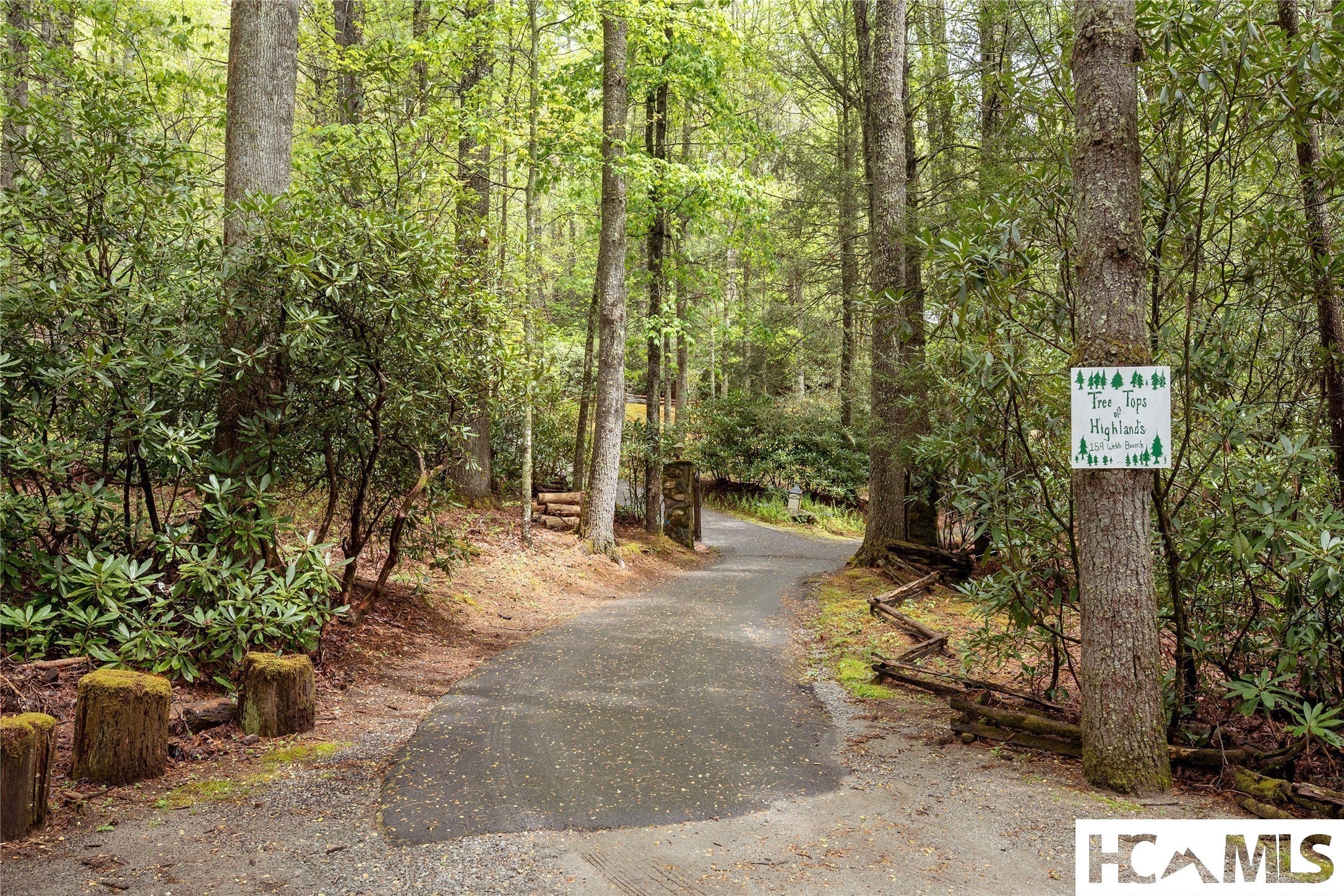 159 Webb Branch Road Highlands, NC 28741 - Photo 7 of 98 Gallery Image 7