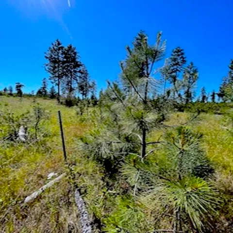 $79,000 | Lot B Lot B Kronos Short Plat/pine Hen Lane, Davenport, WA 99122