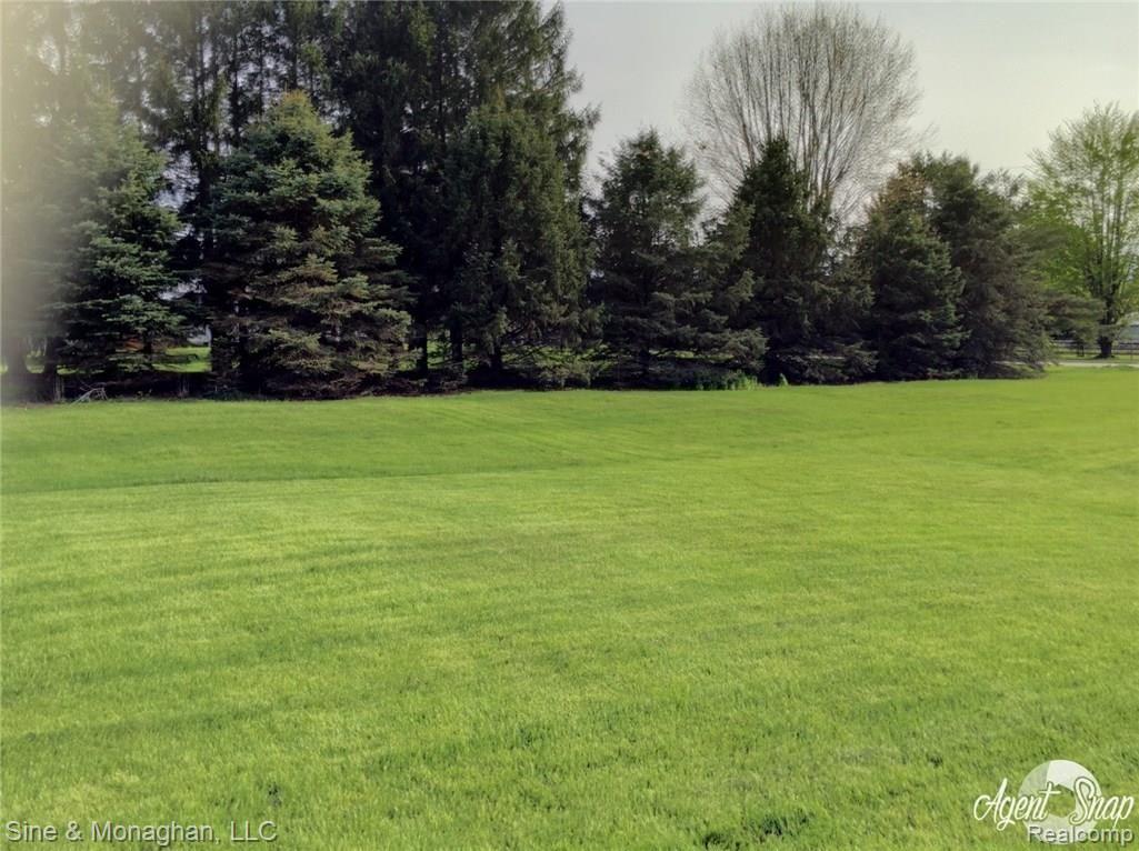 10479 Carroll Road Columbus, MI 48063 - Photo 5 of 52 Side yard