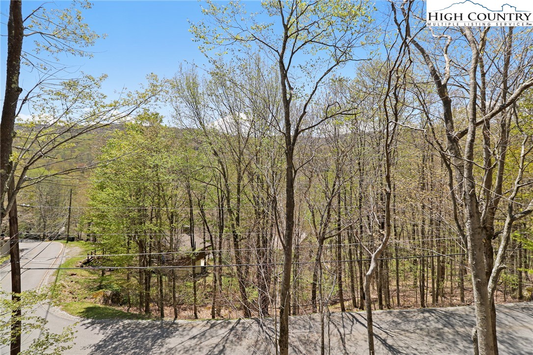 408 Charter Hills Road Beech Mountain, NC 28604 - Photo 32 of 33 Gallery Image 32