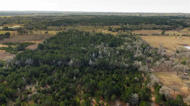 $855,000 | 3662 Acr 359, Palestine, TX 75801