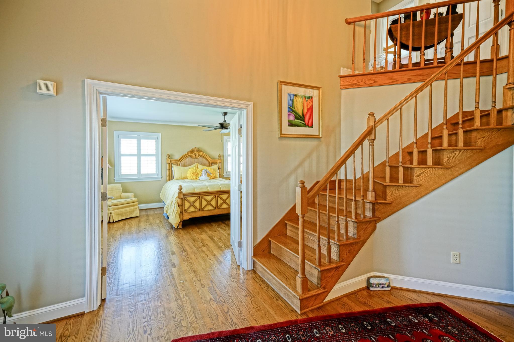 4 White Oak Road Rehoboth Beach, DE 19971 - Photo 23 of 64 Gallery Image 23