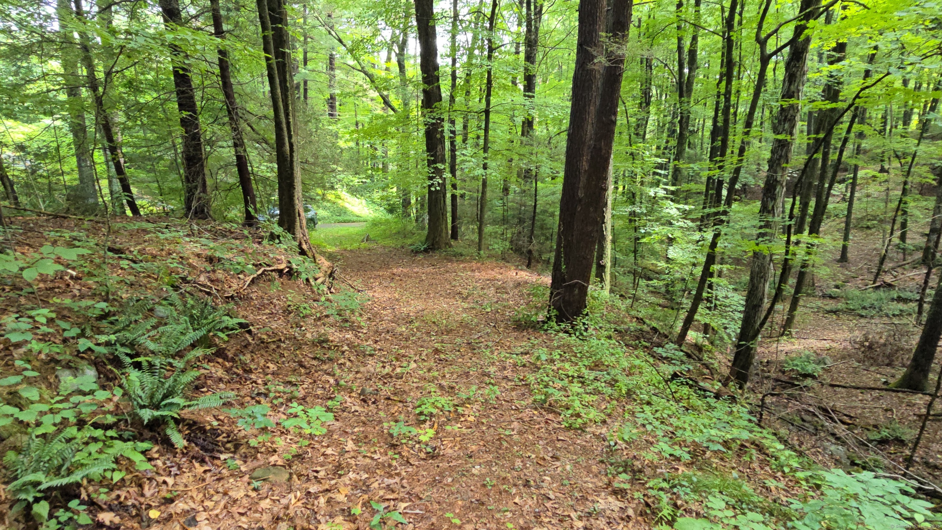 189 West Avon Road Avon, CT 06001 - Photo 10 of 12 a big yard with lots of green space and trees