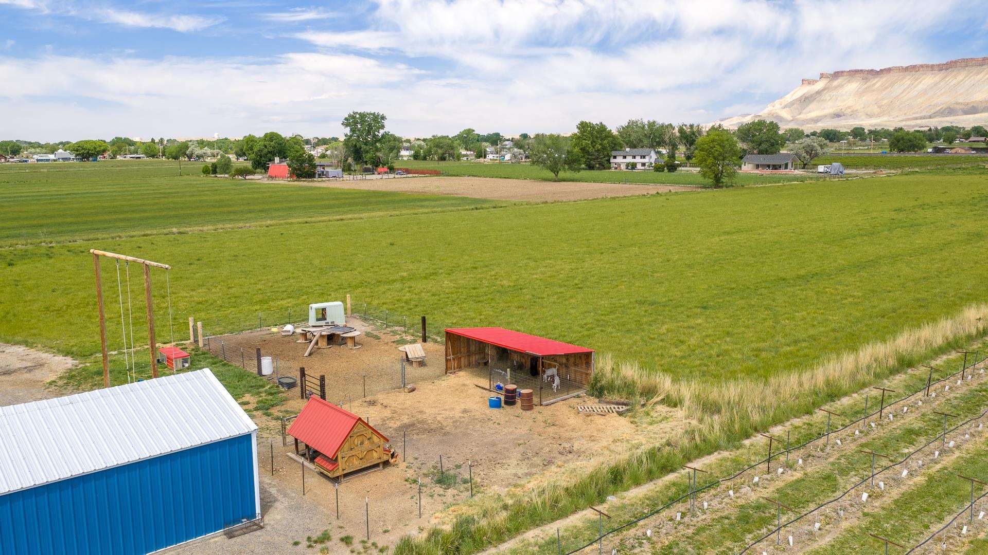 3468 F Road Clifton, CO 81520 - Photo 35 of 42
